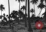 Image maisons endommagées San Juan à Puerto Rico, 1931, de la seconde 18 séquences d'archives historiques vidéo 65675060219