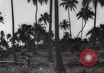 Image maisons endommagées San Juan à Puerto Rico, 1931, de la seconde 19 séquences d'archives historiques vidéo 65675060219