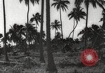 Image maisons endommagées San Juan à Puerto Rico, 1931, de la seconde 20 séquences d'archives historiques vidéo 65675060219