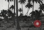 Image maisons endommagées San Juan à Puerto Rico, 1931, de la seconde 21 séquences d'archives historiques vidéo 65675060219