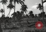Image maisons endommagées San Juan à Puerto Rico, 1931, de la seconde 26 séquences d'archives historiques vidéo 65675060219