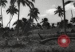 Image maisons endommagées San Juan à Puerto Rico, 1931, de la seconde 27 séquences d'archives historiques vidéo 65675060219