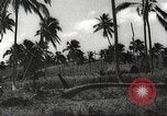 Image maisons endommagées San Juan à Puerto Rico, 1931, de la seconde 29 séquences d'archives historiques vidéo 65675060219