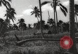 Image maisons endommagées San Juan à Puerto Rico, 1931, de la seconde 31 séquences d'archives historiques vidéo 65675060219