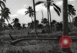 Image maisons endommagées San Juan à Puerto Rico, 1931, de la seconde 32 séquences d'archives historiques vidéo 65675060219
