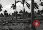 Image maisons endommagées San Juan à Puerto Rico, 1931, de la seconde 33 séquences d'archives historiques vidéo 65675060219