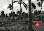 Image maisons endommagées San Juan à Puerto Rico, 1931, de la seconde 34 séquences d'archives historiques vidéo 65675060219