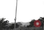 Image of coconut palm tree San Juan Puerto Rico, 1931, second 6 stock footage video 65675060220