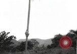 Image of coconut palm tree San Juan Puerto Rico, 1931, second 7 stock footage video 65675060220