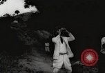 Image of coconut palm tree San Juan Puerto Rico, 1931, second 43 stock footage video 65675060220