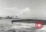 Image of lowland portions of island Puerto Rico, 1931, second 54 stock footage video 65675060221