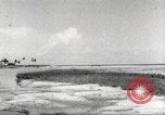 Image of lowland portions of island Puerto Rico, 1931, second 56 stock footage video 65675060221