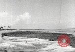 Image of lowland portions of island Puerto Rico, 1931, second 57 stock footage video 65675060221
