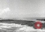 Image of lowland portions of island Puerto Rico, 1931, second 59 stock footage video 65675060221