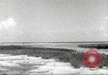 Image of lowland portions of island Puerto Rico, 1931, second 60 stock footage video 65675060221