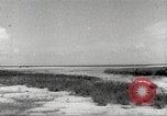 Image of lowland portions of island Puerto Rico, 1931, second 61 stock footage video 65675060221