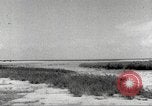 Image of lowland portions of island Puerto Rico, 1931, second 62 stock footage video 65675060221