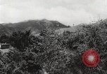 Immagine di I contadini Puerto Rico, 1931, secondo 20 filmato di repertorio 65675060222
