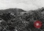 Immagine di I contadini Puerto Rico, 1931, secondo 21 filmato di repertorio 65675060222