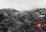 Immagine di I contadini Puerto Rico, 1931, secondo 24 filmato di repertorio 65675060222