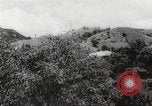 Immagine di I contadini Puerto Rico, 1931, secondo 29 filmato di repertorio 65675060222