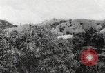 Immagine di I contadini Puerto Rico, 1931, secondo 30 filmato di repertorio 65675060222
