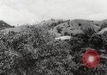 Immagine di I contadini Puerto Rico, 1931, secondo 31 filmato di repertorio 65675060222