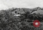 Immagine di I contadini Puerto Rico, 1931, secondo 35 filmato di repertorio 65675060222