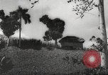 Immagine di I contadini Puerto Rico, 1931, secondo 53 filmato di repertorio 65675060222