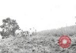 Immagine di I contadini Puerto Rico, 1931, secondo 59 filmato di repertorio 65675060222
