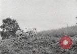 Immagine di I contadini Puerto Rico, 1931, secondo 61 filmato di repertorio 65675060222