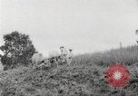 Immagine di I contadini Puerto Rico, 1931, secondo 62 filmato di repertorio 65675060222