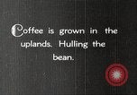 Immagine di Piantagione di caffè Puerto Rico, 1931, secondo 11 filmato di repertorio 65675060223