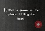 Immagine di Piantagione di caffè Puerto Rico, 1931, secondo 12 filmato di repertorio 65675060223