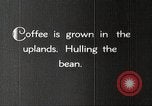 Immagine di Piantagione di caffè Puerto Rico, 1931, secondo 13 filmato di repertorio 65675060223