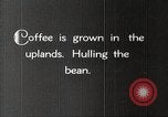 Immagine di Piantagione di caffè Puerto Rico, 1931, secondo 14 filmato di repertorio 65675060223