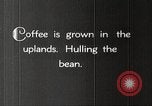 Immagine di Piantagione di caffè Puerto Rico, 1931, secondo 15 filmato di repertorio 65675060223