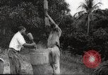 Immagine di Piantagione di caffè Puerto Rico, 1931, secondo 26 filmato di repertorio 65675060223