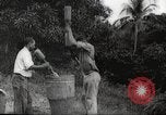 Immagine di Piantagione di caffè Puerto Rico, 1931, secondo 29 filmato di repertorio 65675060223