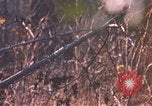 Standbild United States Army Auszubildende Fort Bragg North Carolina USA, 1969, aus Sekunde 10 historischem Filmmaterial Videoclip 65675060240