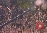 Standbild United States Army Auszubildende Fort Bragg North Carolina USA, 1969, aus Sekunde 11 historischem Filmmaterial Videoclip 65675060240
