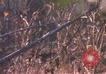 Standbild United States Army Auszubildende Fort Bragg North Carolina USA, 1969, aus Sekunde 14 historischem Filmmaterial Videoclip 65675060240