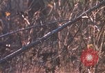 Standbild United States Army Auszubildende Fort Bragg North Carolina USA, 1969, aus Sekunde 18 historischem Filmmaterial Videoclip 65675060240