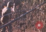 Standbild United States Army Auszubildende Fort Bragg North Carolina USA, 1969, aus Sekunde 20 historischem Filmmaterial Videoclip 65675060240