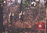 Standbild United States Army Auszubildende Fort Bragg North Carolina USA, 1969, aus Sekunde 22 historischem Filmmaterial Videoclip 65675060240
