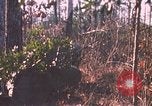 Standbild United States Army Auszubildende Fort Bragg North Carolina USA, 1969, aus Sekunde 25 historischem Filmmaterial Videoclip 65675060240