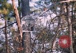 Standbild United States Army Auszubildende Fort Bragg North Carolina USA, 1969, aus Sekunde 60 historischem Filmmaterial Videoclip 65675060240