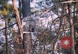 Standbild United States Army Auszubildende Fort Bragg North Carolina USA, 1969, aus Sekunde 62 historischem Filmmaterial Videoclip 65675060240