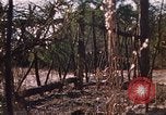 Standbild USA Soldaten Fort Bragg North Carolina USA, 1969, aus Sekunde 10 historischem Filmmaterial Videoclip 65675060241