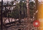 Standbild USA Soldaten Fort Bragg North Carolina USA, 1969, aus Sekunde 12 historischem Filmmaterial Videoclip 65675060241